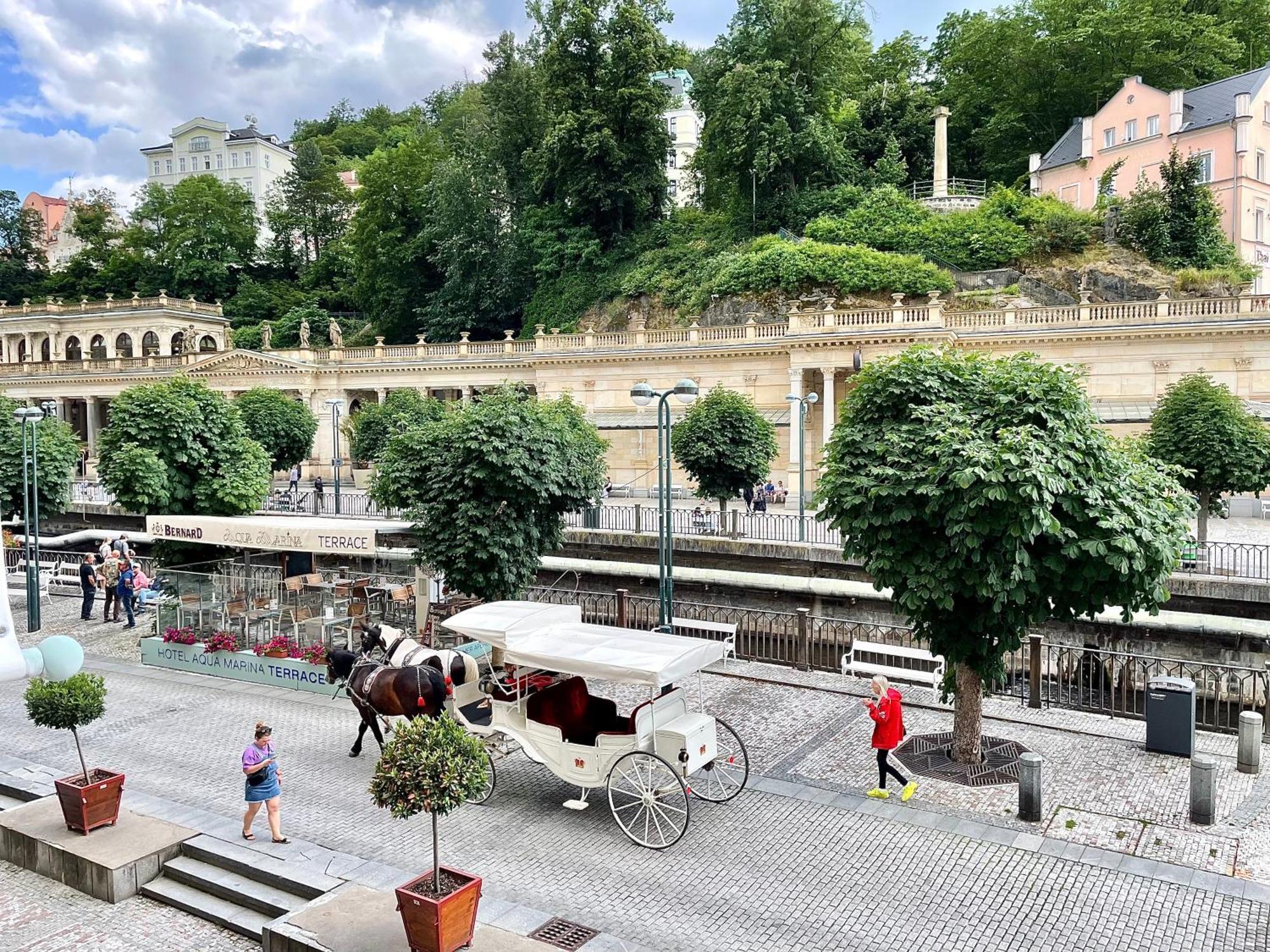 Carlsbad Grand Studio Michal Karlovy Vary Ngoại thất bức ảnh